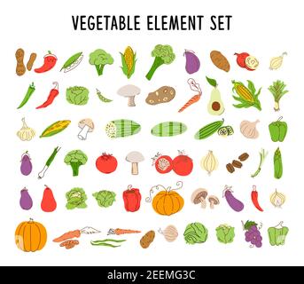 vegetable element set coloring. Collection of hand drawn vegetable illustrations isolated on white background. Bundle of fresh delicious vegan diet ve Stock Vector