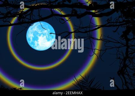 harvest blue moon double halo branch trees in the night sky, Elements of this image furnished by NASA Stock Photo