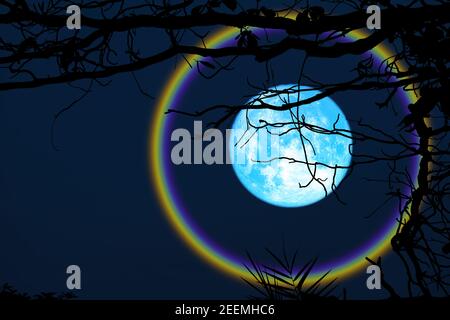 harvest blue moon halo silhouette branch trees in the night sky, Elements of this image furnished by NASA Stock Photo