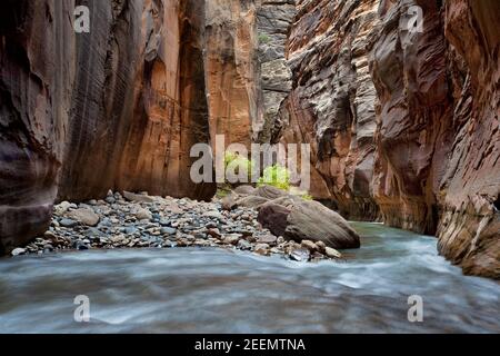Section of the Virgin River Narrows with high walls and large boulders with a boulder field taking up half the river channel, Zion National Park, Utah Stock Photo