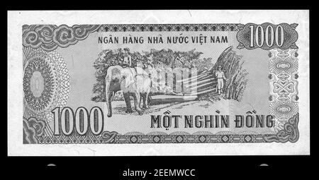 Vietnam dong money Black and White Stock Photos & Images - Alamy