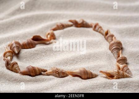 Seashells laid out in the shape of a heart on wavy sand Stock Photo