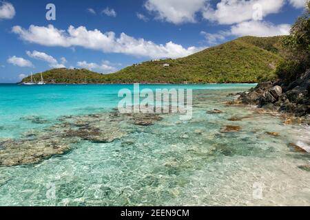 View of the tropical water and hillside along Little Hawksnest Bay on the island of St. John in the United States Virgin Islands. Stock Photo