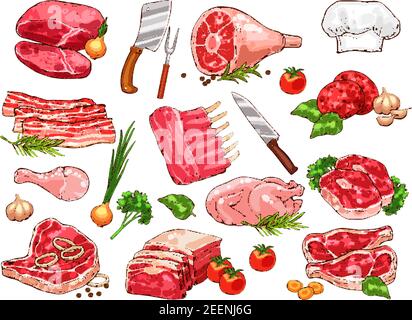 Fresh meat sketch icons for butcher shop or farm market. Vector isolated butchery beefsteak loin, pork tenderloin filet, veal brisket schnitzel, turke Stock Vector