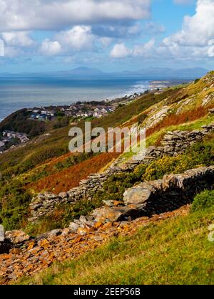Drystone wall in upland landscape at Dinas Oleu near Barmouth in Gwynedd North West Wales UK close to the popular Panorama Walk. Stock Photo