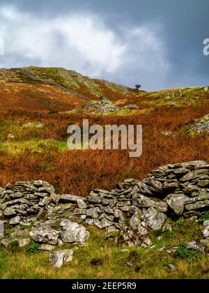 Upland landscape with stone wall and stormy sky at Dinas Oleu near Barmouth in Gwynedd North West Wales UK close to the popular Panorama Walk. Stock Photo