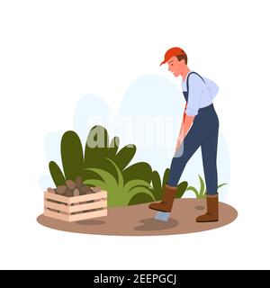 People dig potatoes in garden or field, holding shovel and working, farming harvest time Stock Vector