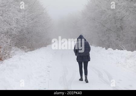 Girl walking in a Forest covered with snow in the winter Stock Photo