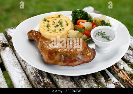 Grilled chicken with trimmings Stock Photo