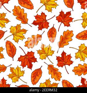 Autumn leaf seamless pattern background. Orange fallen leaves of maple, oak and birch trees. Autumn fallen leaves sketch pattern for autumn season the Stock Vector