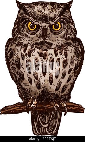 Owl or eagle-owl bird sketch vector isolated icon. Wild forest feathered nocturnal predatory bird of prey sitting on branch. Wildlife fauna and zoolog Stock Vector