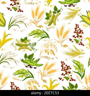 Cereals seamless pattern of wheat and rye ears, buckwheat seeds and oat or barley millet and rice sheaf, corn cob and legume beans or pea. Farmer agri Stock Vector
