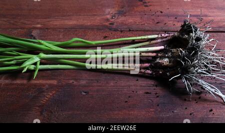 Fresh green garlic on wooden background. Top view. Healthy food. Stock Photo