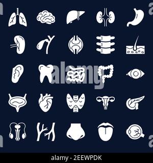 Anatomy icons collection with human internal organs symbols. Medical set in glyph style. Vector illustration. Stock Vector