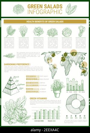 Salad greens infographic template. Leaf vegetable health benefits chart and vitamin content graph, cultivation preferences map and pyramid diagram wit Stock Vector