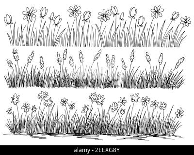 grass drawing black and white