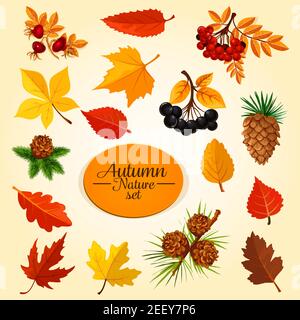 Autumn leaf, fruit and berry icon set. Fallen leaf of maple and oak tree, fall season branches with fruit of rowanberry, forest briar and chokeberry, Stock Vector