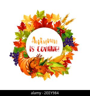 Thanksgiving Day poster of autumn harvest holiday. Leaf of maple tree frame with Thanksgiving cornucopia full of pumpkin and corn vegetable, wheat, gr Stock Vector