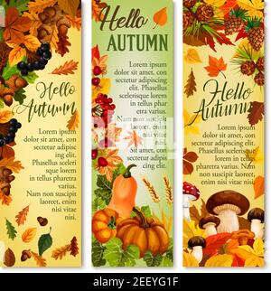 Hello Autumn greeting banners of September nature harvest and forest leaves. Vector pumpkin, mushrooms or wheat and rye and oak acorns with maple leaf Stock Vector