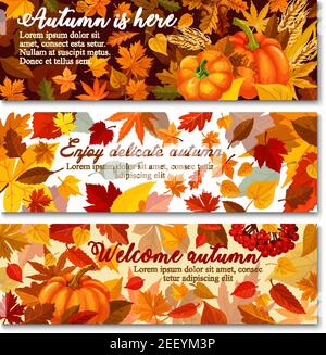 Autumn pumpkin with fallen leaf banner set. Orange maple leaf, pumpkin vegetable, ripe wheat and branch with acorn and rowanberry greeting card for Th Stock Vector