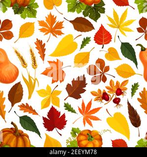 Autumn seamless pattern for September holiday season. Vector oak acorn, maple and poplar and aspen leaf, pumpkin vegetable, dog-rose and rowanberry be Stock Vector