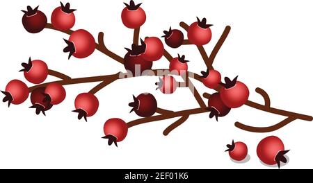 Rosehip fruits icon, cartoon style Stock Vector