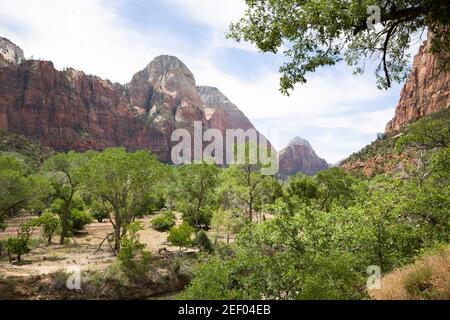 Zion National Park landscape with trees and on the valley floor. Utah, USA Stock Photo