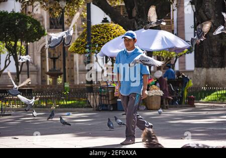 SUCRE, BOLIVIA - JULY 19, 2016: An unidentified man walks among pigeons in the main square of the city. Set in a valley surrounded by mountains, the h Stock Photo