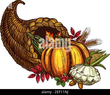Thanksgiving Day cornucopia and autumn harvest sketch. Vector isolated symbol of seasonal vegetable, fruit and berry food, maple or oak leaf for tradi Stock Vector