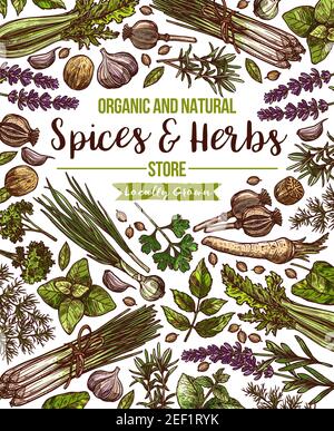 The Herbs and Spices Poster (42 Cooking Ingredients