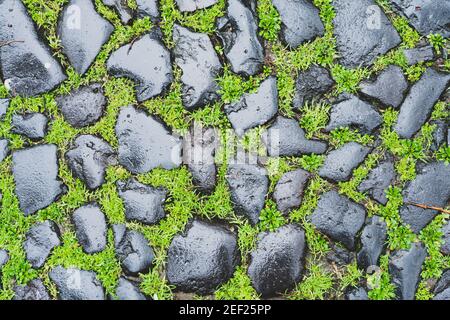 Wet stone or rock old road with green grass texture background.  Stock Photo