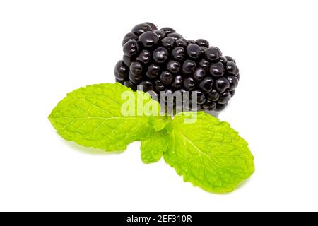 Closeup shot of fresh blackberries. Isolated on white background with leaf Stock Photo