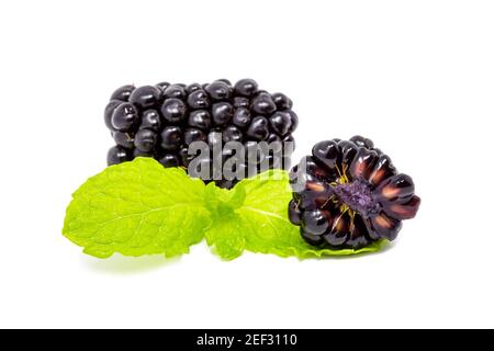 Closeup shot of fresh blackberries. Isolated on white background and sliced Stock Photo