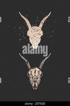 Vector illustration with two variants of hand drawn goat skull on black background. Gold silhouettes and contour with grunge texture. For you design, Stock Vector