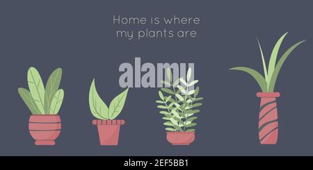 Set of cute houseplants. Botanical home garden poster. Natural collection of plants. Stock Vector