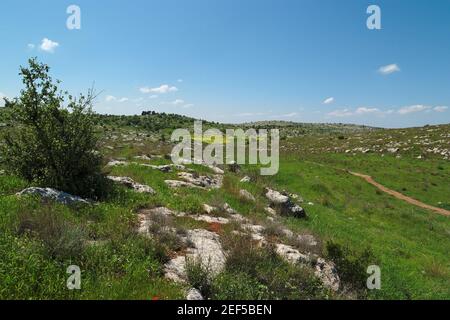 Green Mediterranean valley among hills in spring Stock Photo