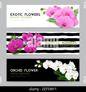 Blooming orchids 3 horizontal banners collection with exotic flowers on black white background realistic isolated vector illustration Stock Vector
