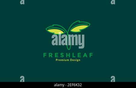 mint leaf green fresh art lines colorful logo design vector icon symbol illustration Stock Vector