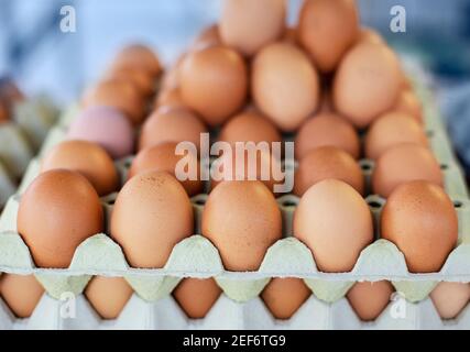 Storage of many of eggs in paper box Stock Photo