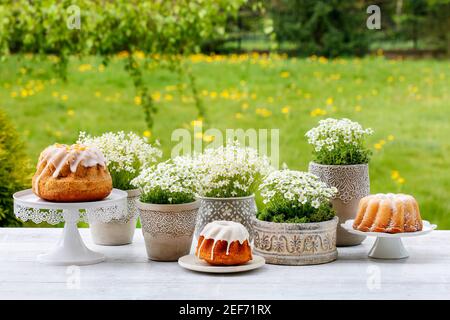 Traditional Easter cakes, beautiful spring flowers and handmade decoration made of moss and quail eggs. Stock Photo