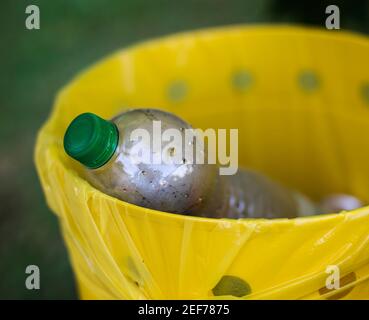 Plastic bottles collected to be recycled to reduce environmental ...