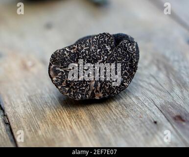 Truffles on a wooden background Stock Photo
