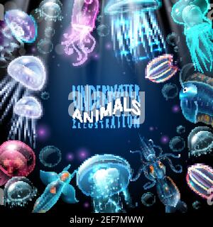 Light and bright underwater animals frame background squid jellyfish and other inhabitants vector illustration Stock Vector