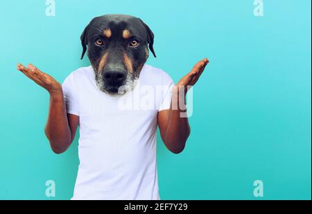 Person with head of a dog is consused about something. concept of consusion Stock Photo