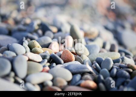 There is pebbles nice background for nature image. Stock Photo