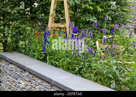 An English country cottage garden with dry stone wall obelisk and flower bed border borders growing Agastache flowers in Summer UK England Stock Photo