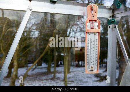Max and Min thermometer inside unheated greenhouse showing -7C on moorland smallholding at 900ft Stock Photo