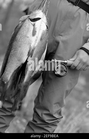 Man loses rod and fish. : r/WatchPeopleDieInside