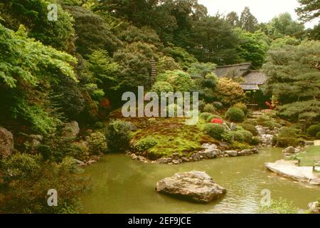 Pond in a garden, Katsura Imperial Villa, Kyoto, Japan Stock Photo