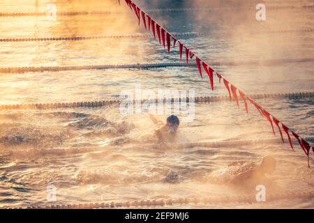 Corridor Lanes and swimmer in swimming pool with fog over the water. Sport Competition. Stock Photo